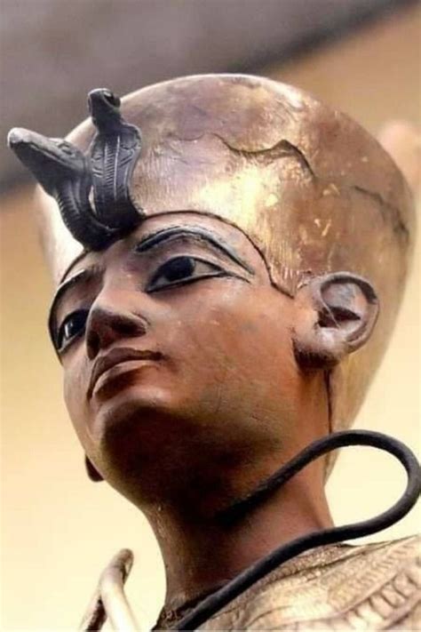 Exploring the Curse of the Pharaohs Through Ancient Texts and Hieroglyphs